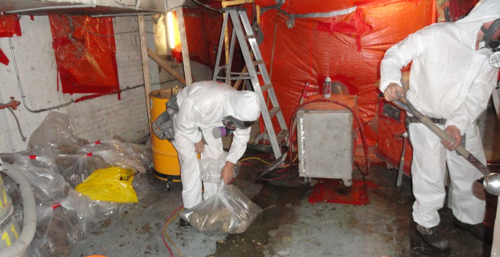 Skilled asbestos removal | Asbestos Removal | Amiante National Asbestos