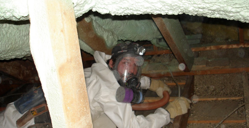 Vermiculite insulationa asbestos removal | Asbestos Removal | Amiante National Asbestos